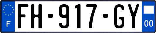 FH-917-GY