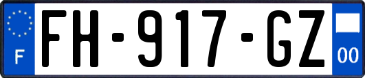 FH-917-GZ