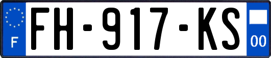 FH-917-KS