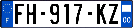 FH-917-KZ