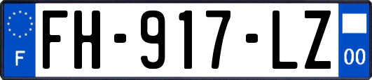 FH-917-LZ