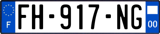 FH-917-NG