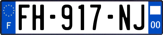 FH-917-NJ