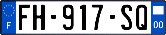 FH-917-SQ