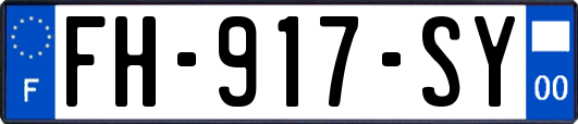 FH-917-SY