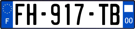 FH-917-TB