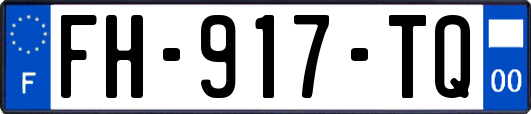 FH-917-TQ