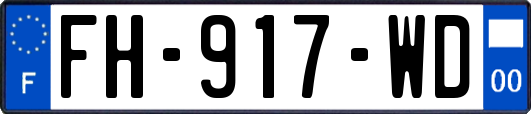 FH-917-WD