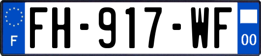 FH-917-WF
