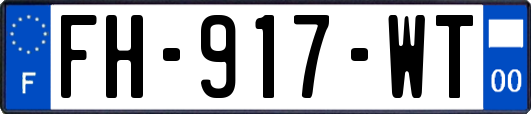 FH-917-WT