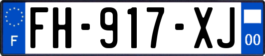 FH-917-XJ