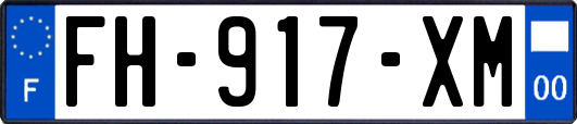 FH-917-XM