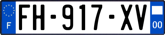 FH-917-XV