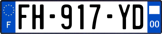 FH-917-YD