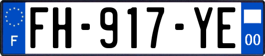 FH-917-YE