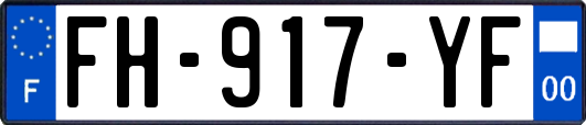 FH-917-YF
