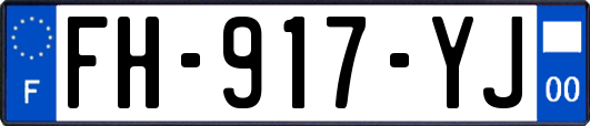 FH-917-YJ