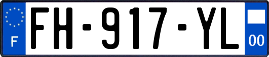FH-917-YL