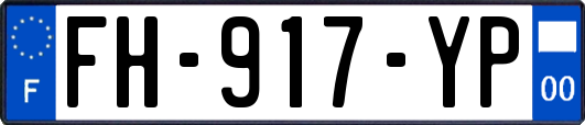 FH-917-YP