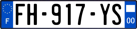 FH-917-YS