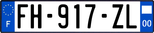 FH-917-ZL