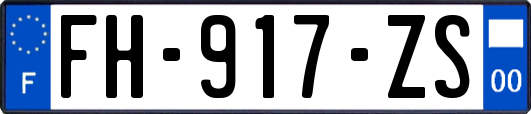 FH-917-ZS