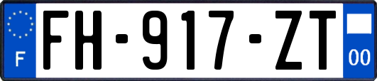 FH-917-ZT