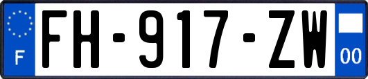 FH-917-ZW