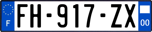 FH-917-ZX