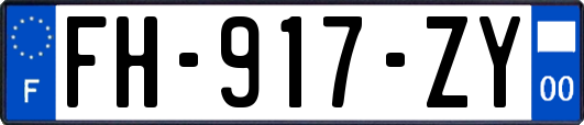 FH-917-ZY