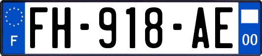 FH-918-AE