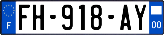 FH-918-AY