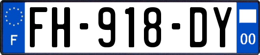 FH-918-DY