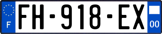 FH-918-EX