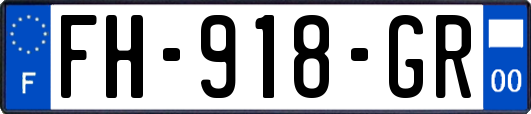 FH-918-GR