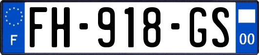 FH-918-GS