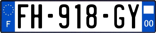 FH-918-GY
