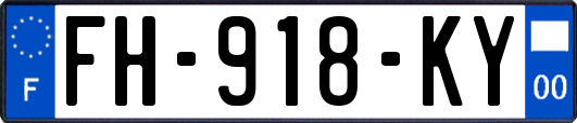 FH-918-KY