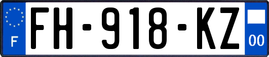 FH-918-KZ