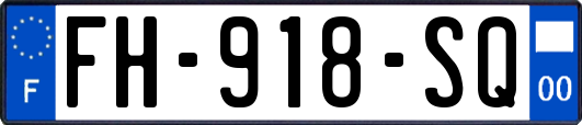 FH-918-SQ