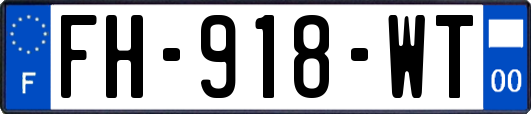 FH-918-WT