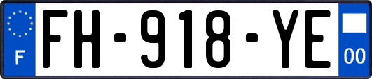 FH-918-YE
