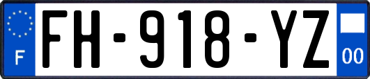 FH-918-YZ