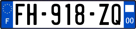 FH-918-ZQ