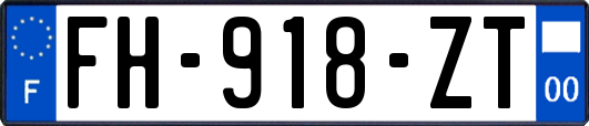 FH-918-ZT