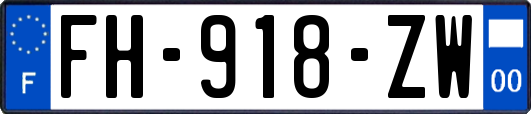 FH-918-ZW