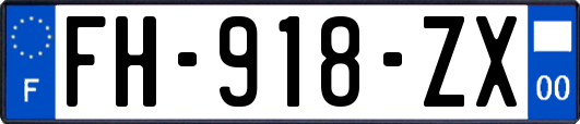 FH-918-ZX