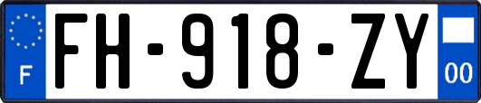 FH-918-ZY