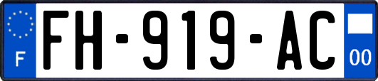 FH-919-AC