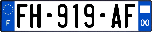 FH-919-AF